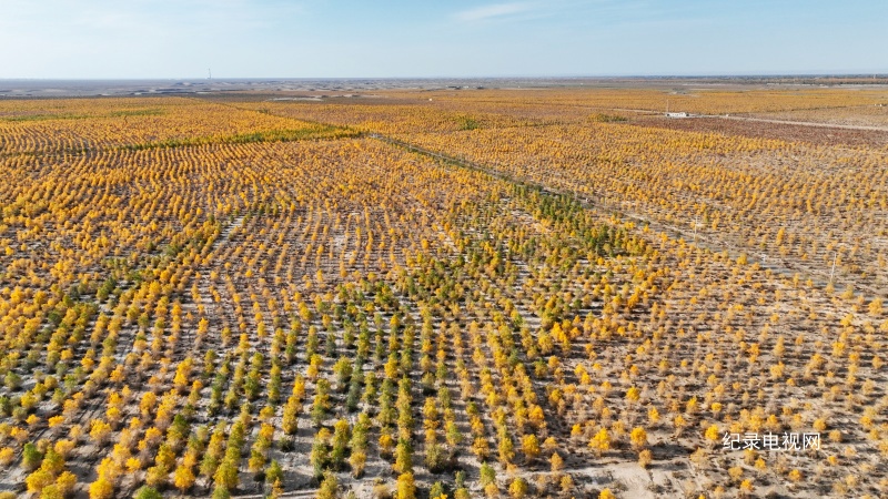 DJI_0988_副本.jpg
