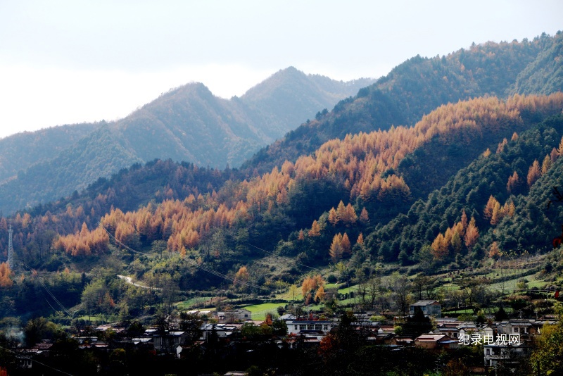 IMG_8848_副本.jpg
