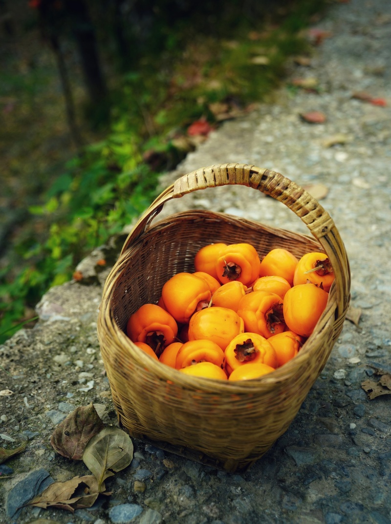 retouch_2025110209585394_副本.jpg retouch_2025110209585394_副本.jpg