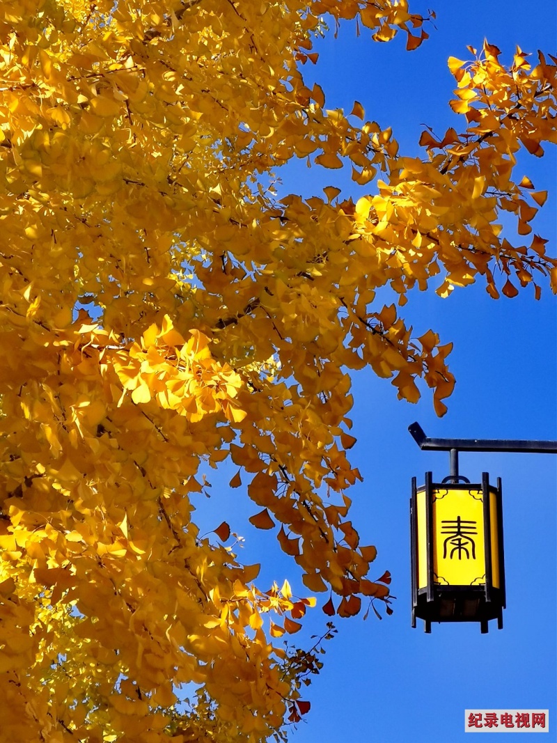 IMG_20251030_152322_副本2.jpg IMG_20251030_152322_副本2.jpg