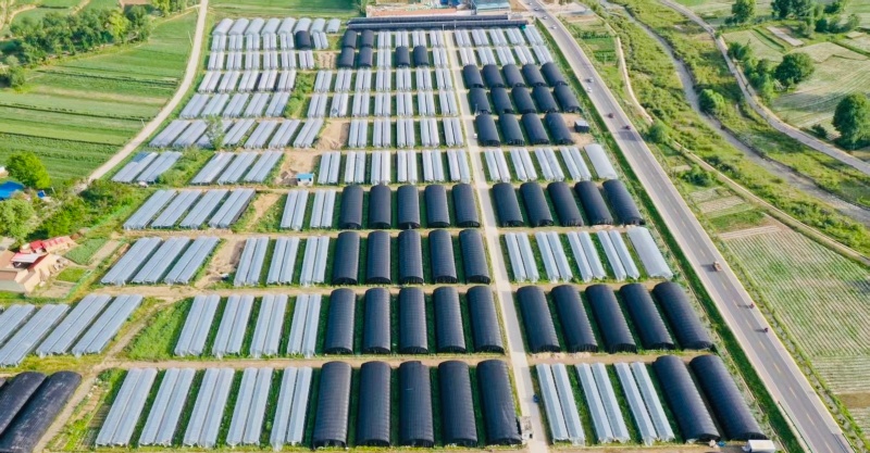 4_副本.jpg 4_副本.jpg