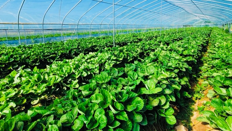 5_副本.jpg 5_副本.jpg