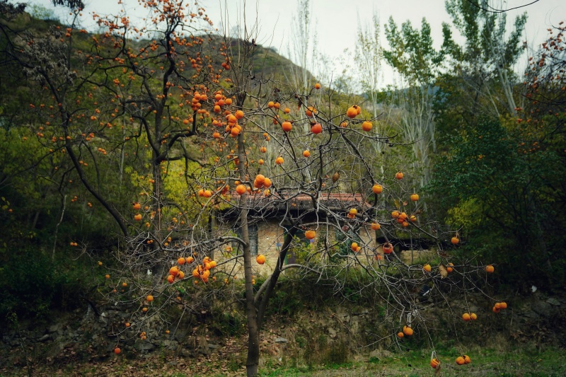 retouch_2025110209493441_副本.jpg retouch_2025110209493441_副本.jpg