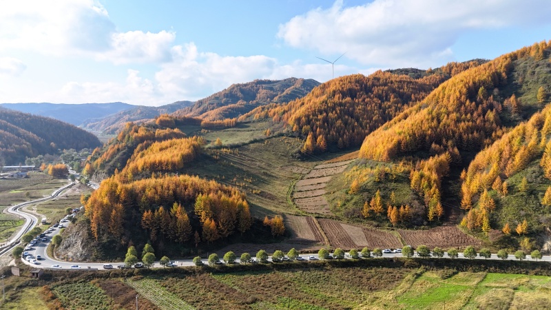 秋意漫过礼县木树关