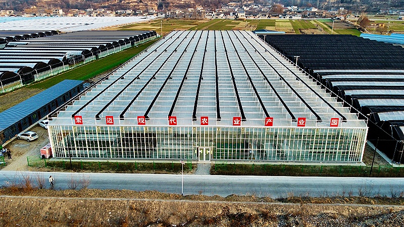 科技赋能农业 实干助力振兴——索迈农业科技(甘肃)有限公司发展纪实