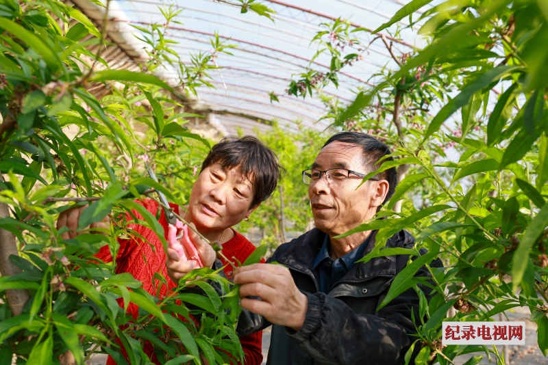 0L6A2273_副本1.jpg