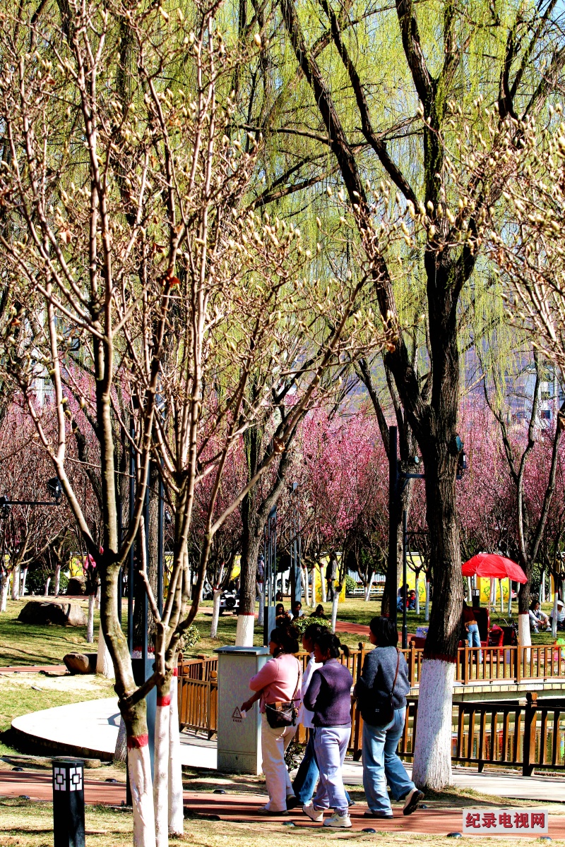 IMG_2445_副本1.jpg