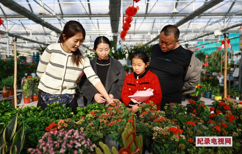 春日繁花春意浓 鲜花走俏金塔花卉市场