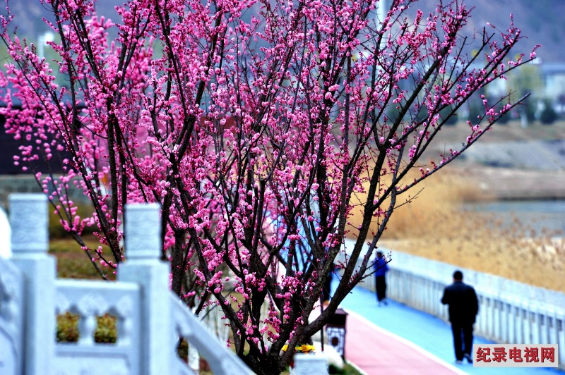 DSC_1371_副本2.jpg