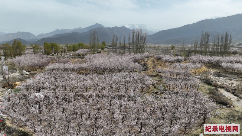 DJI_0154_副本2.jpg