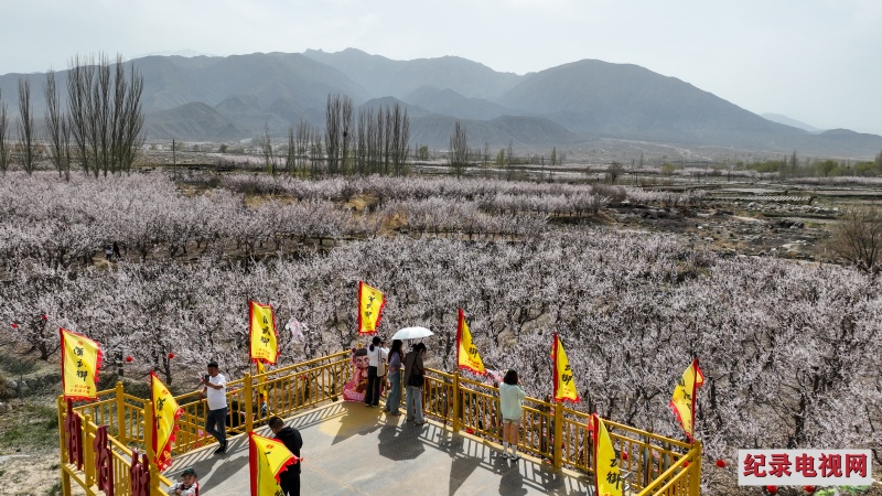 DJI_0166_副本2.jpg