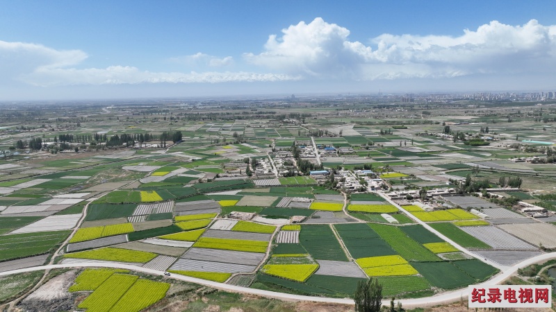 DJI_0658_副本2.jpg