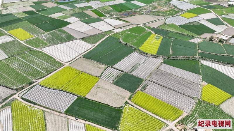 DJI_0666_副本2.jpg