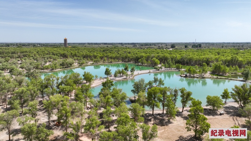 DJI_0043_副本2.jpg