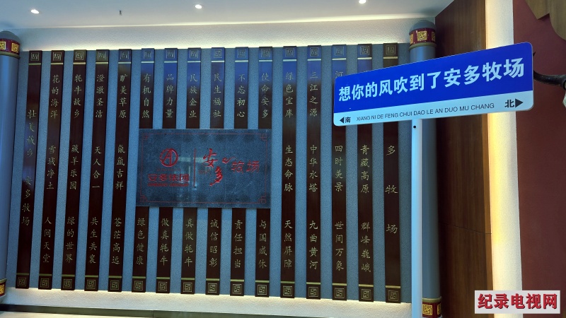 17_副本2.jpg