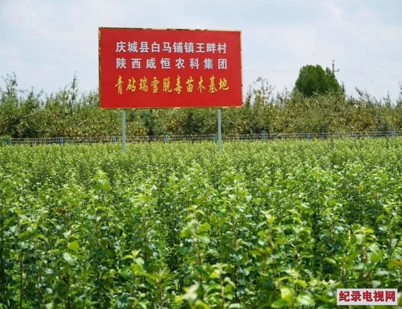 图2_副本2.jpg