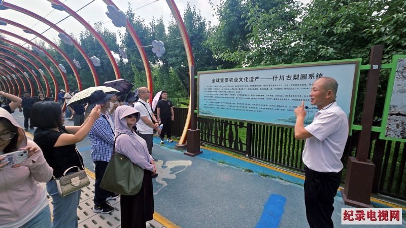 20250801_105141_副本2.jpg
