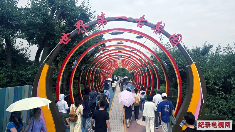 兰州—什川—青城一日游线路将火起来