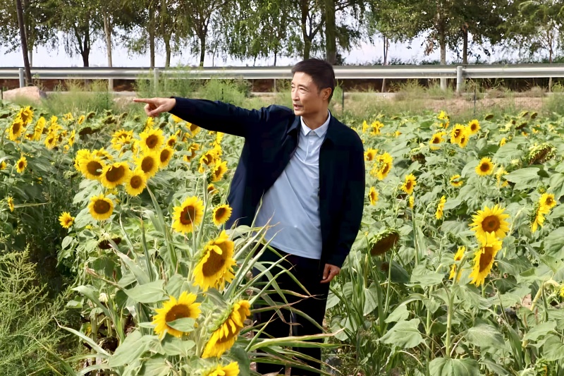 10_副本.jpg 10_副本.jpg