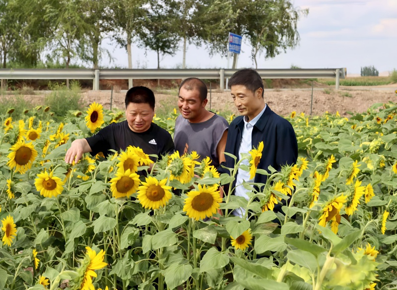 4_副本.jpg 4_副本.jpg