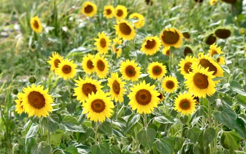 2_副本.jpg 2_副本.jpg