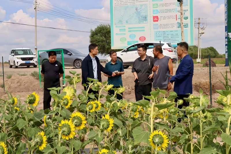 7_副本.jpg 7_副本.jpg