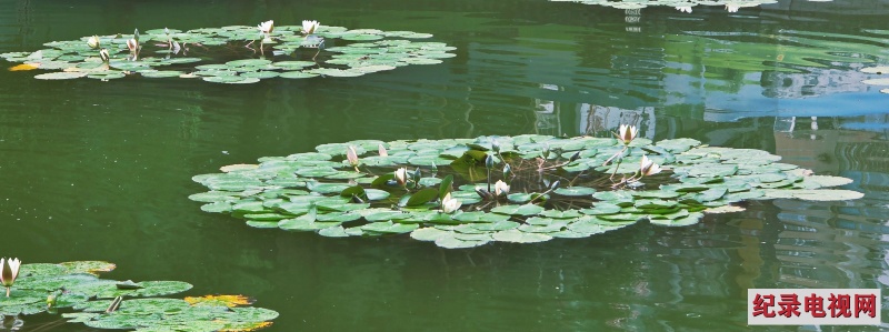 冷空气来了！局地降温10℃