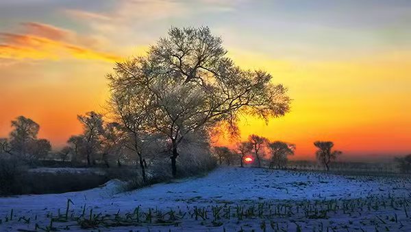 霜雪为墨 镜头绘山河​ 吉林雾凇岛创作记