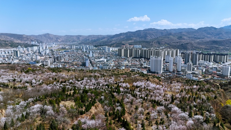 兰仓春满西山秀 桃杏花开迎客来
