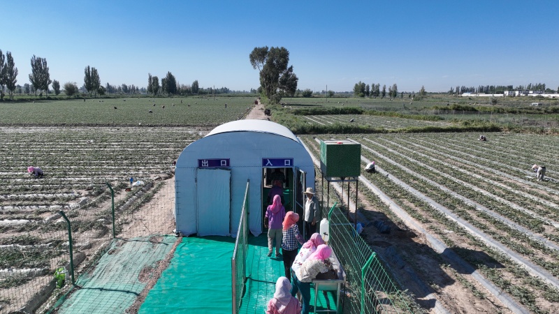 DJI_0443_副本.jpg DJI_0443_副本.jpg