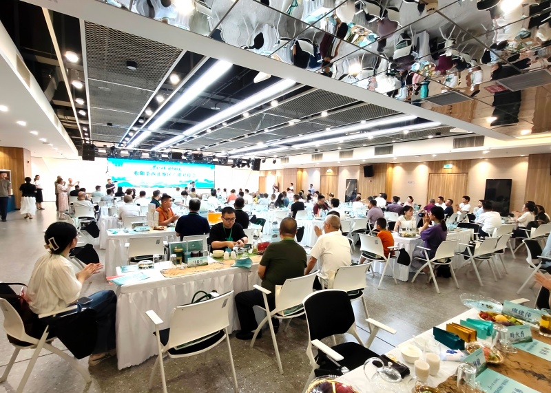 松阳茶香飘西北 “世界茶乡看浙江20年”​松阳茶西北地区产销对接会在兰州举行
